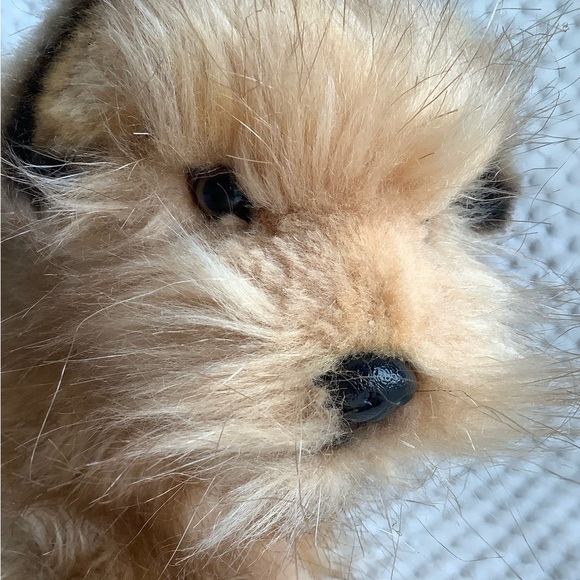 HANSA Toy Norfolk Terrier Realistic Dog Plush Stuffed Animal Toy Posable Legs - Picture 5 of 16